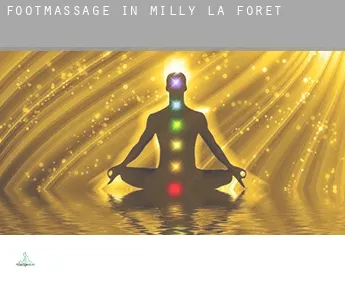 Foot massage in  Milly-la-Forêt